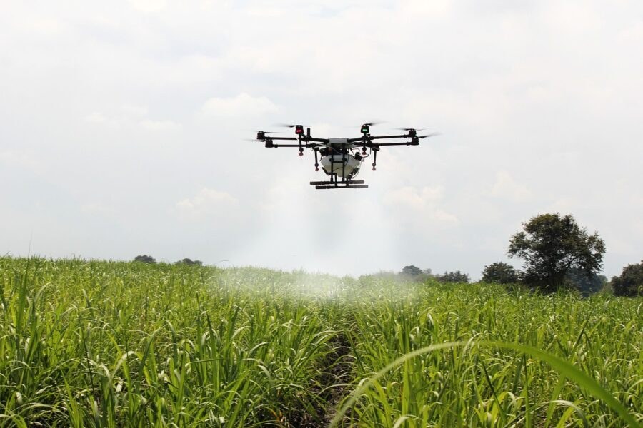Aplicação com drone sobre uma cultura agrícola, sem passagem de máquinas pesadas